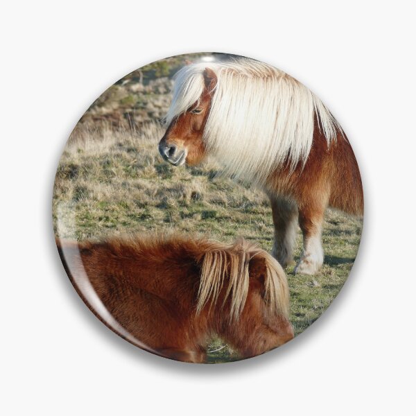 Item preview, Dartmoor Ponies designed and sold by Chris Petty.