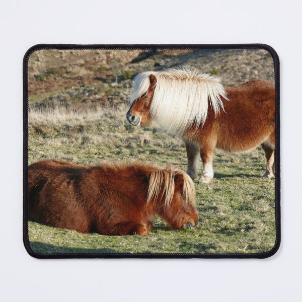 Item preview, Dartmoor Ponies designed and sold by Chris Petty.