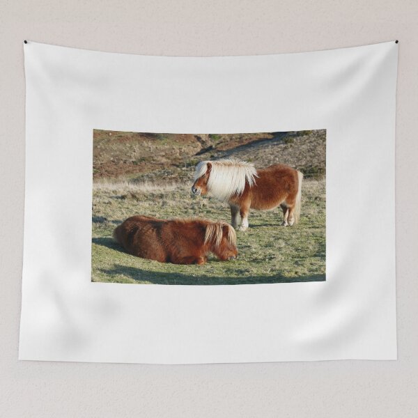 Item preview, Dartmoor Ponies designed and sold by Chris Petty.
