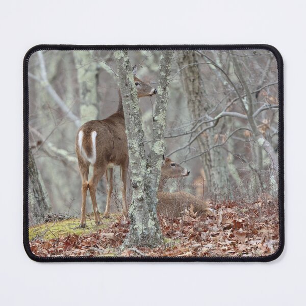 Item preview, Peaceful Togetherness designed and sold by LisaNaturePhoto.