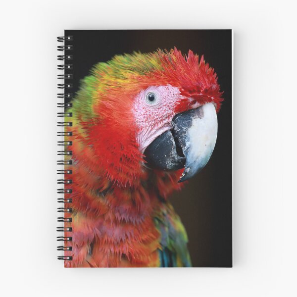 Item preview, Hybrid Macaw designed and sold by mlorenz.