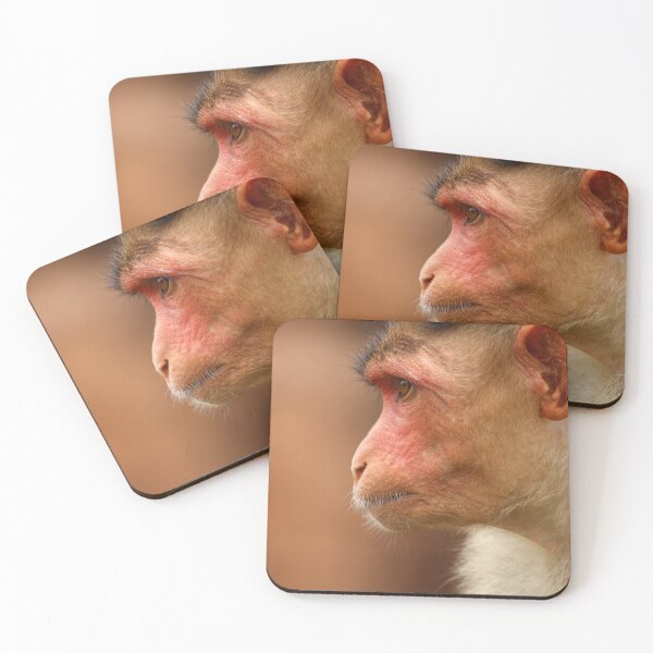 Item preview, Bonnet Macaque Monkey designed and sold by VgBingi.