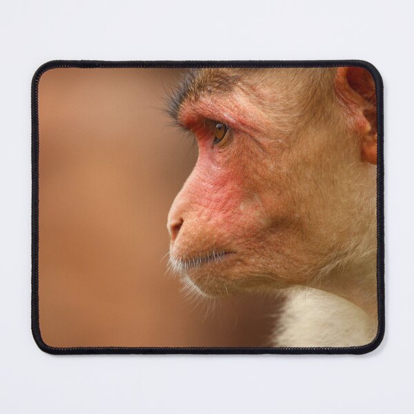 Item preview, Bonnet Macaque Monkey designed and sold by VgBingi.