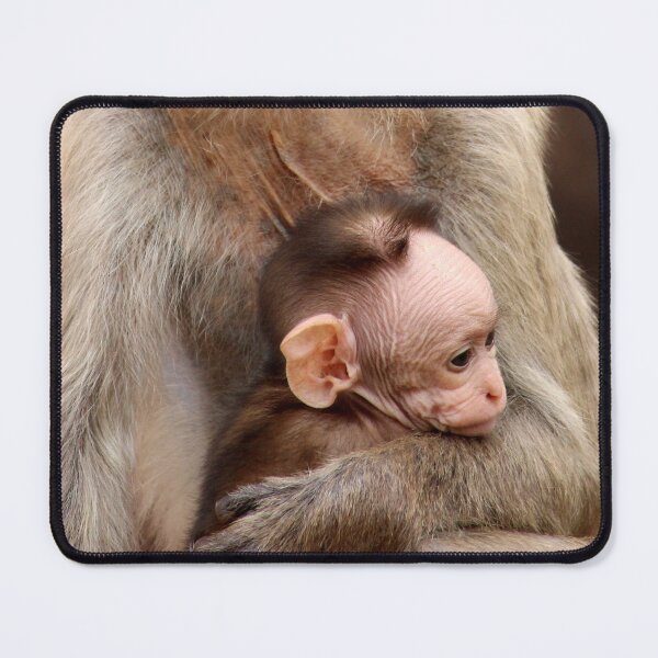 Item preview, Bonnet Macaque with Baby. designed and sold by VgBingi.
