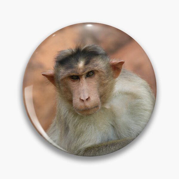 Item preview, Bonnet Macaque Monkey designed and sold by VgBingi.