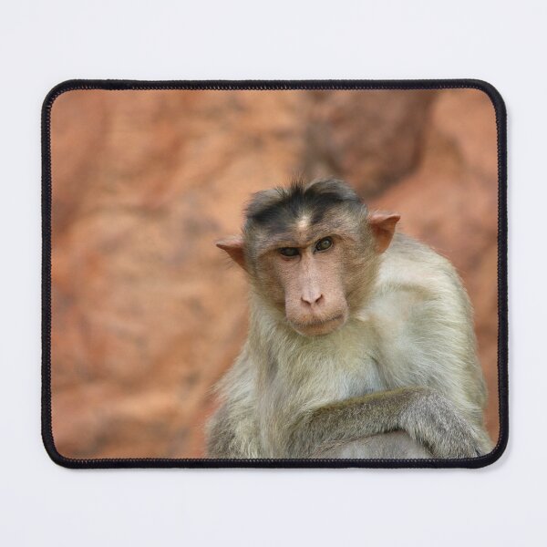 Item preview, Bonnet Macaque Monkey designed and sold by VgBingi.