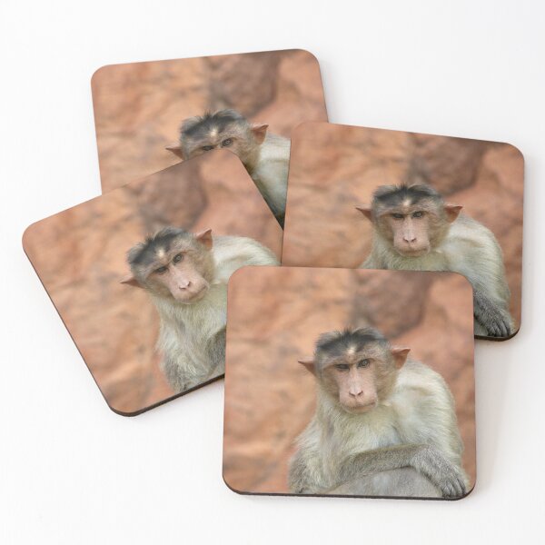 Item preview, Bonnet Macaque Monkey designed and sold by VgBingi.