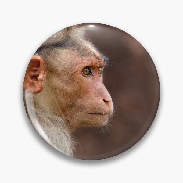 Item preview, Bonnet Macaque Monkey designed and sold by VgBingi.