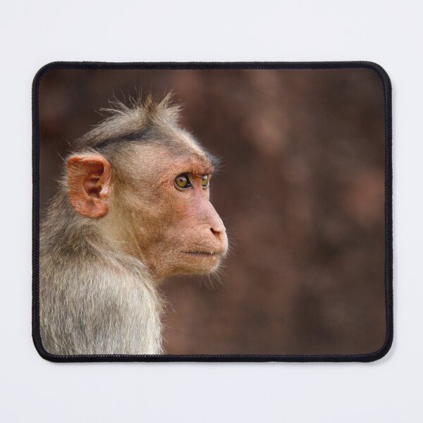 Item preview, Bonnet Macaque Monkey designed and sold by VgBingi.