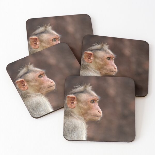 Item preview, Bonnet Macaque Monkey designed and sold by VgBingi.