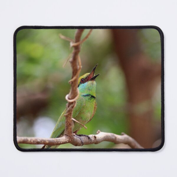 Item preview, Asian Green Bee-Eater designed and sold by VgBingi.
