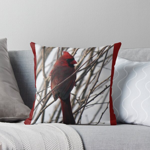 Item preview, Have you seen Claudia? designed and sold by WalnutHill.