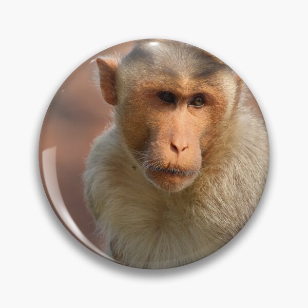 Item preview, Bonnet Macaque Monkey designed and sold by VgBingi.