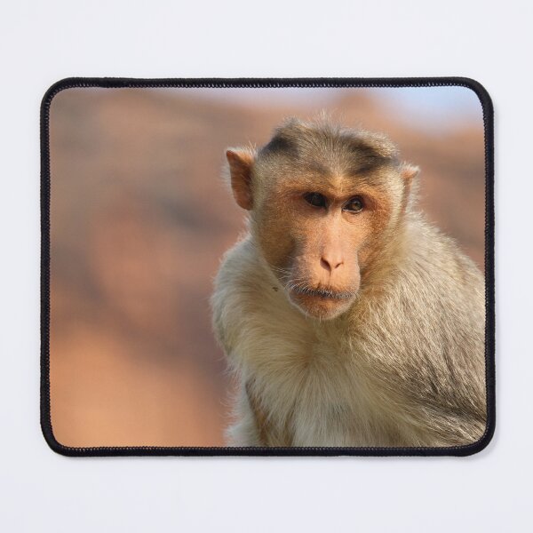 Item preview, Bonnet Macaque Monkey designed and sold by VgBingi.