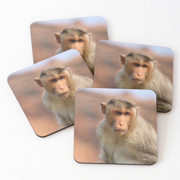 Item preview, Bonnet Macaque Monkey designed and sold by VgBingi.