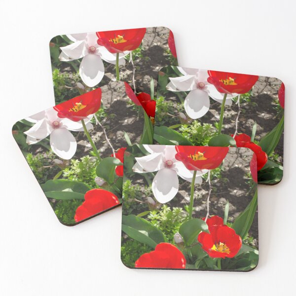 Item preview, Let me up, it's Spring designed and sold by Brian Shaw.