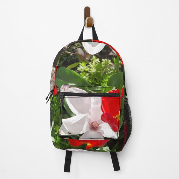 Item preview, Let me up, it's Spring designed and sold by Brian Shaw.