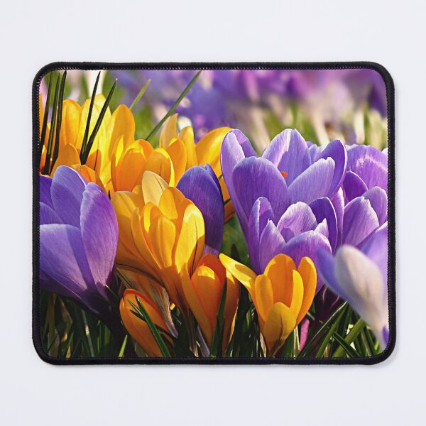 Item preview, ASTONISHING COLORFUL FLOWERS PICTURE designed and sold by Nathalia Montoro.