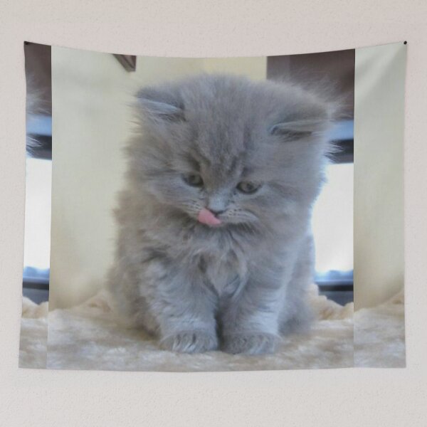 Item preview, Cat photo portrait sweet puppy Cats sweet tongue designed and sold by Coolstuff4you71.