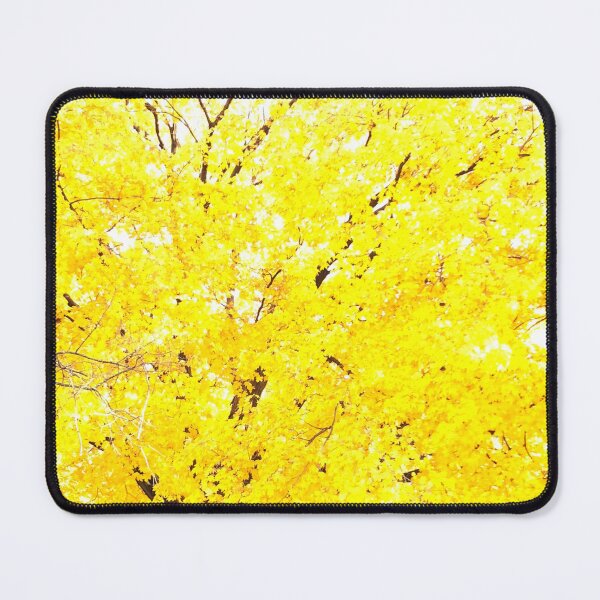 Item preview, Autumn's Blaze: The Vibrant Yellow Leaves of Fall designed and sold by inspiredbnature.