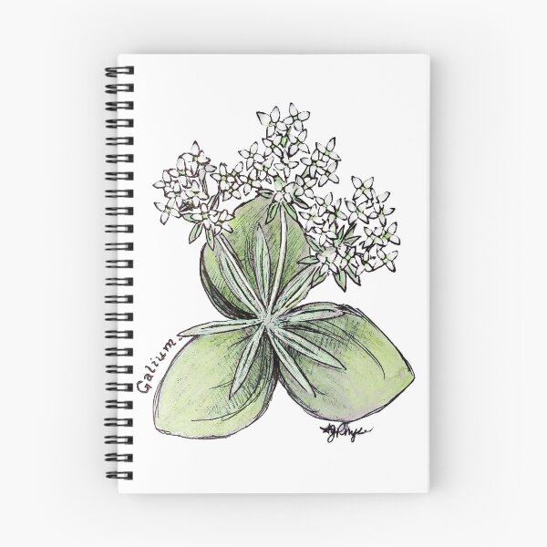 Item preview, Francia Viaje 2023 "Galium" designed and sold by ajrhys.