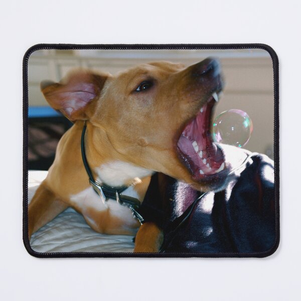Item preview, Bubble dog designed and sold by BreeFarinaPhoto.
