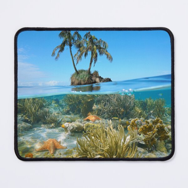 Item preview, Coconut tree islet with coral and starfish underwater designed and sold by Seaphotoart.