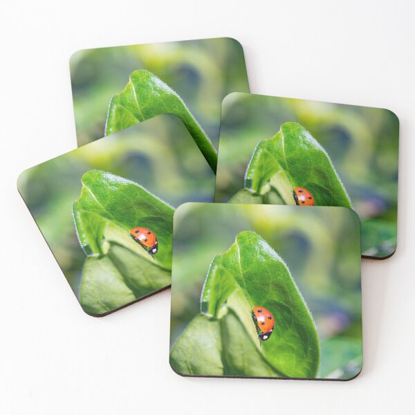 Item preview, ladybug on a leaf designed and sold by thompsong03.