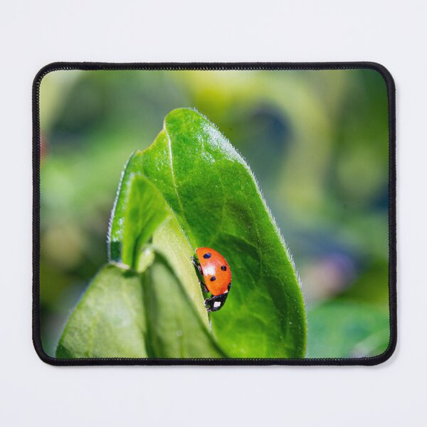 Item preview, ladybug on a leaf designed and sold by thompsong03.