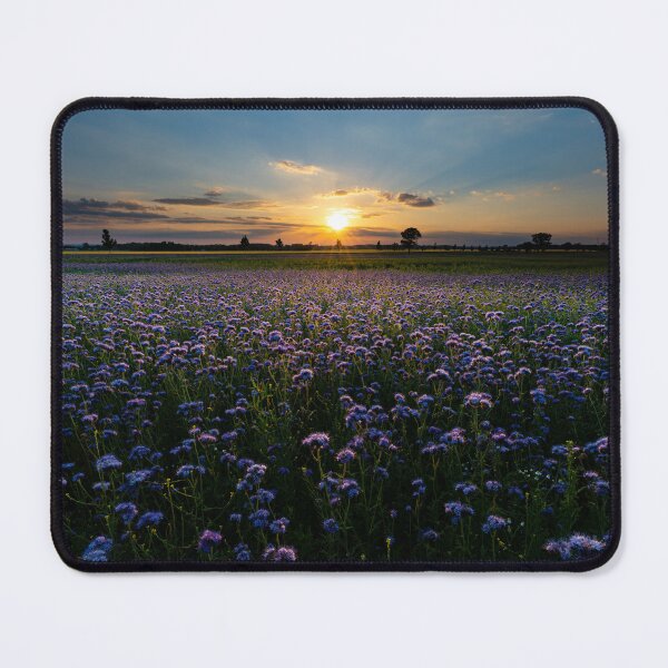 Item preview, A field of flowers at sunset designed and sold by thompsong03.