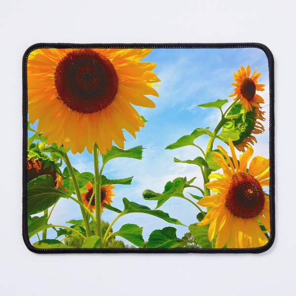 Item preview, Sunflowers  designed and sold by BreeFarinaPhoto.