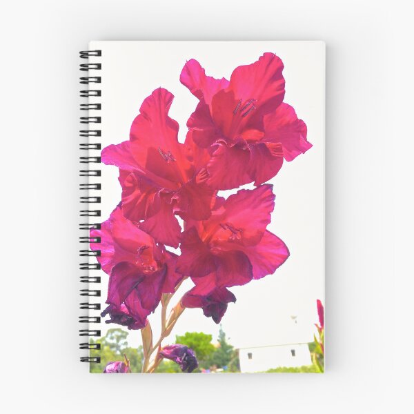 Item preview, Flowers designed and sold by BreeFarinaPhoto.