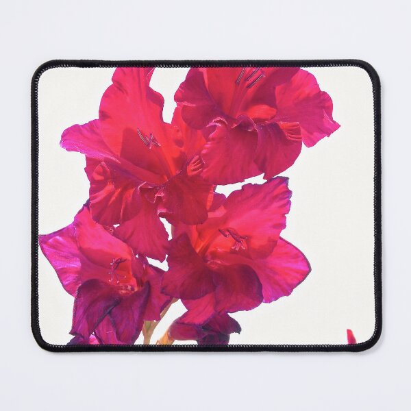 Item preview, Flowers designed and sold by BreeFarinaPhoto.