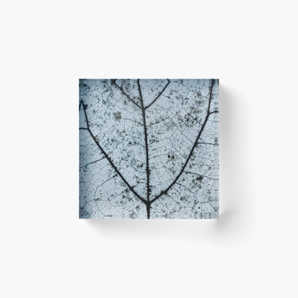 Item preview, Fig Leaf Light box designed and sold by JimSteele.