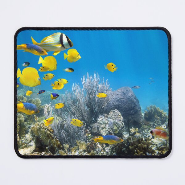 Item preview, Underwater coral reef with tropical fish designed and sold by Seaphotoart.