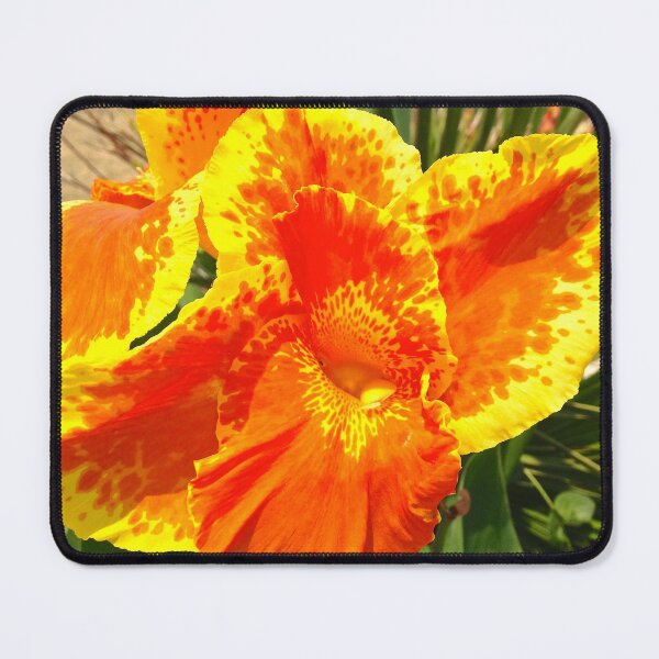 Item preview, Bright flower designed and sold by BreeFarinaPhoto.