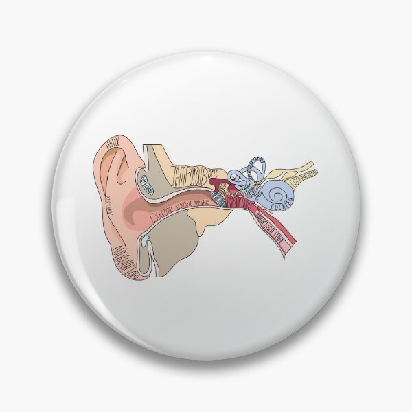Item preview, Labeled Ear Anatomy designed and sold by Katherine Winner.