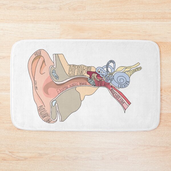 Item preview, Labeled Ear Anatomy designed and sold by Katherine Winner.