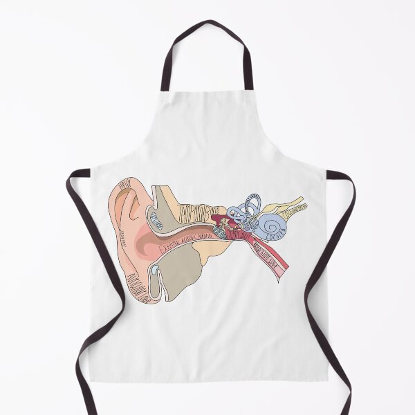 Item preview, Labeled Ear Anatomy designed and sold by Katherine Winner.