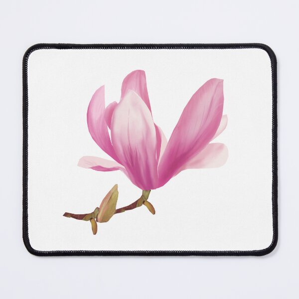 Item preview, flower of a pink magnolia designed and sold by annamiss.