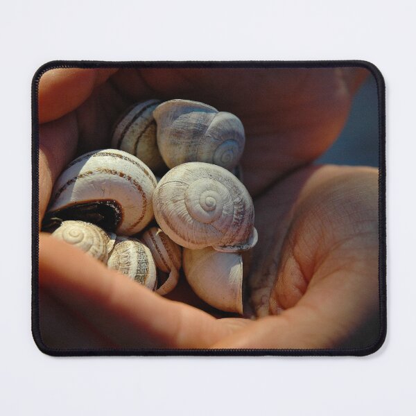 Item preview, Shells designed and sold by BreeFarinaPhoto.