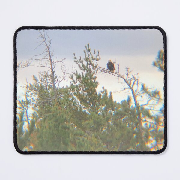 Item preview, Sugarloaf Mountain Eagle designed and sold by Healing Creationz.