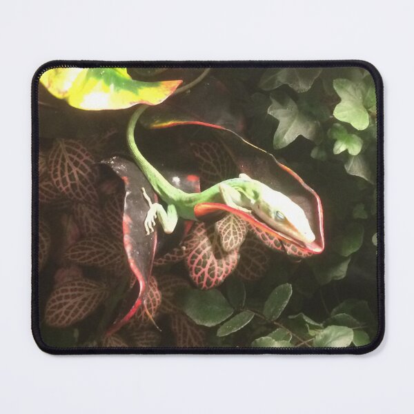 Item preview, Lazy Lizard on a Leaf designed and sold by Quipplepunk.