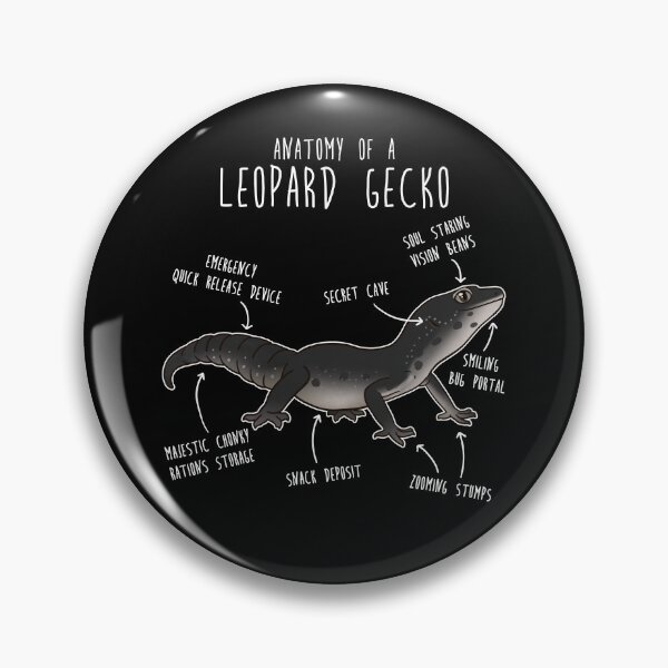 Item preview, Black Leopard Gecko Lizard Reptile Anatomy designed and sold by Clara Hollins.