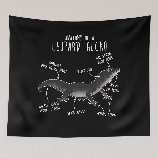 Item preview, Black Leopard Gecko Lizard Reptile Anatomy designed and sold by Clara Hollins.