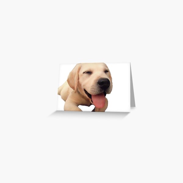 Black Lab Magnetic Note Pad Adhesive 50 Sheets Labrador Good Dog Woof Bow WOW for sale online 