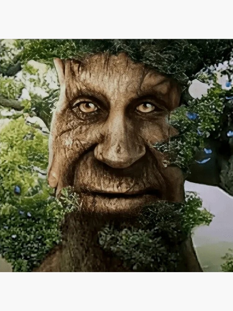 prompthunt: a wise mystical tree with a gentle smile and kind eyes