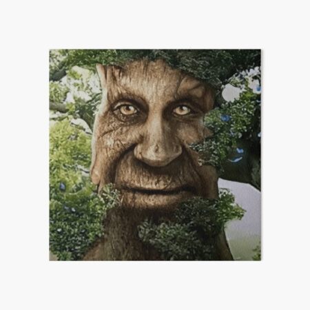 Frontal image background source, Wise Mystical Tree / If You're Over 25  and Own a Computer, This Game Is a Must-Have