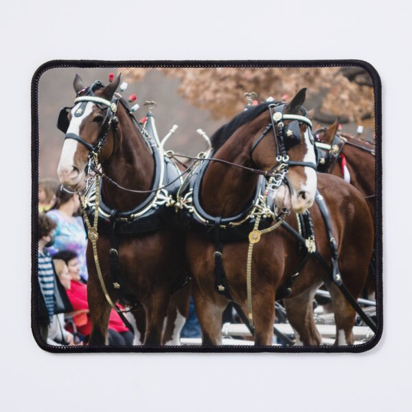 Item preview, Clydesdales designed and sold by Designsbyshers.