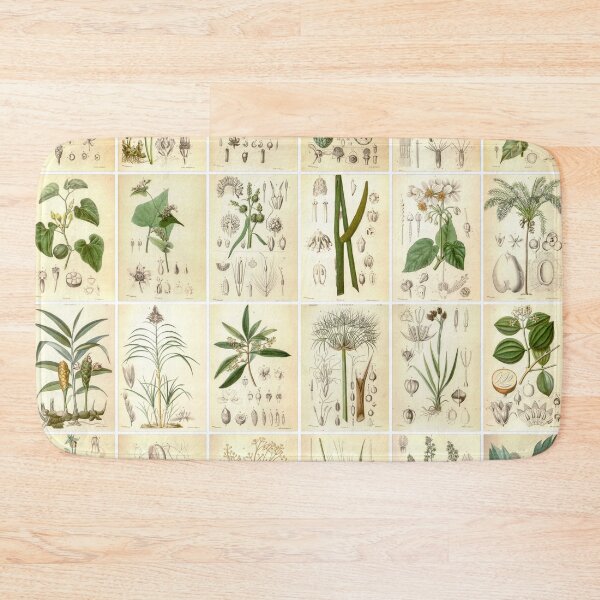 Item preview, Vintage Vegetable Drawings, Portrait, Green designed and sold by Michael Dietrich.